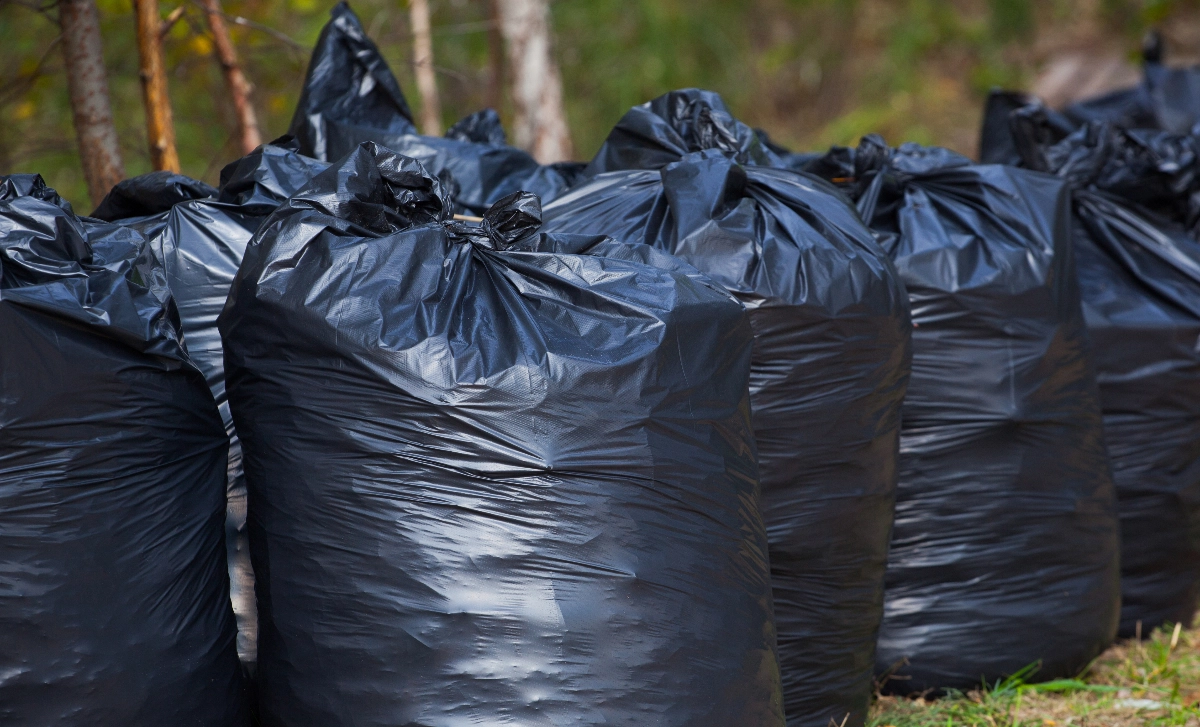 About Image for Dorking Waste Collection - Free Website, New Company, Best Website Builder, Waste management, Waste disposal, Free website template, Tec-Nut.com Websites, Free Website, No Coding Website, New Website, Garbage collection, easy website